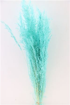 <h4>Dried Munni Grass Aqua Blue Bunch</h4>
