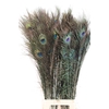 Feather Peacock Naturel Pst L100-110