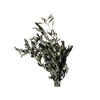 Bunch Olive 150g