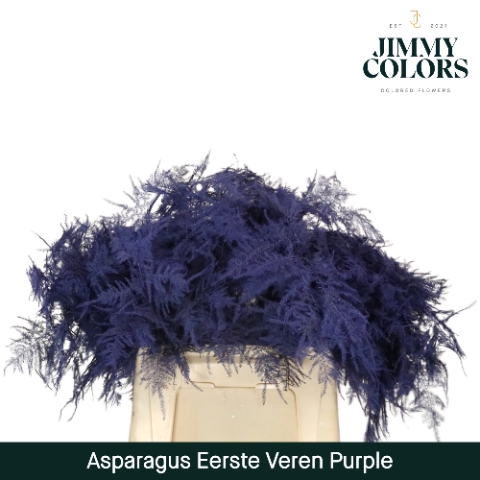 <h4>Asparagus 1ste Purple</h4>