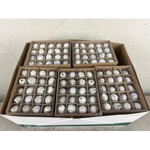 Egg Quail White Box(60pcs)