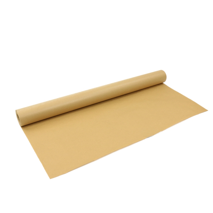 Paper Roll 80cm Hydropaper 60g