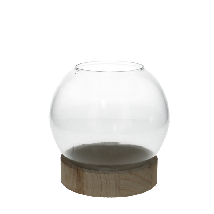 Glass Fishbowl+foot wood d20*21cm