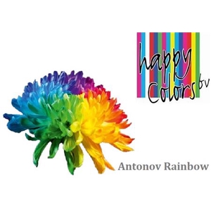 Chr G Antonov Rainbow