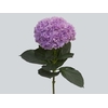 HORTENSIA FORCE 030 CM LILAS