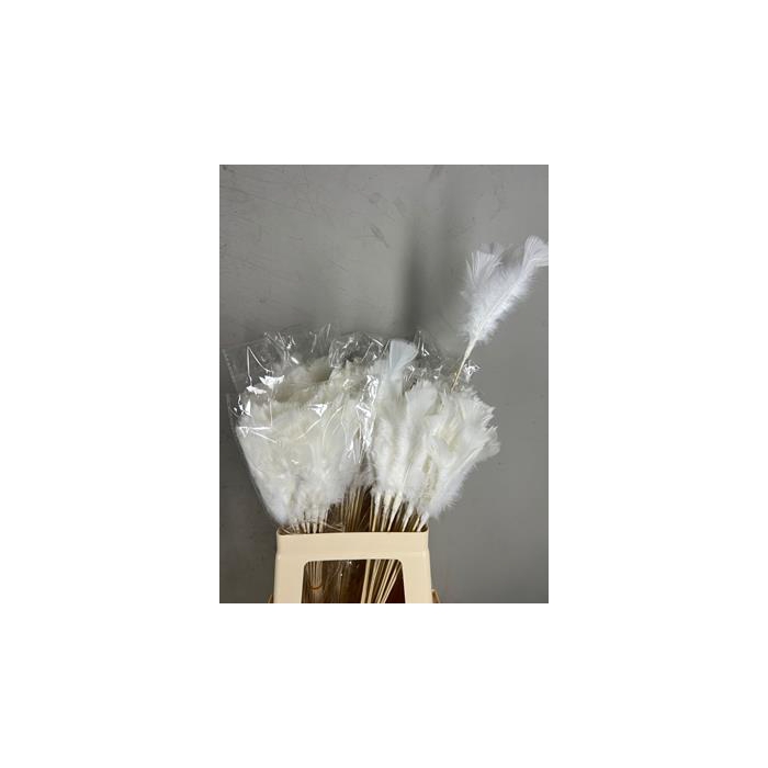 <h4>Stick Feather White 14cm</h4>