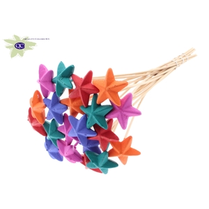 Styro Star hat type on stem Mixed Colours