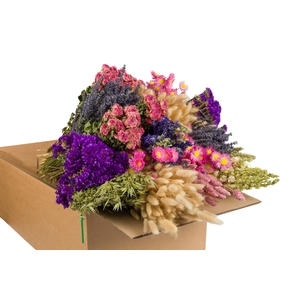 DRIED FLOWERS MIX IN BOX PINK