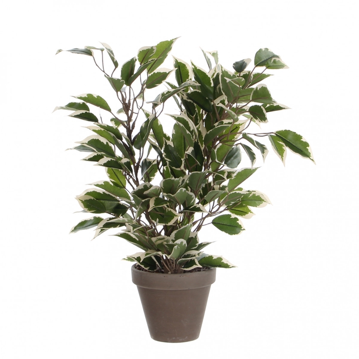 Artificial plants Pot Ficus Natasja d11/30*40cm
