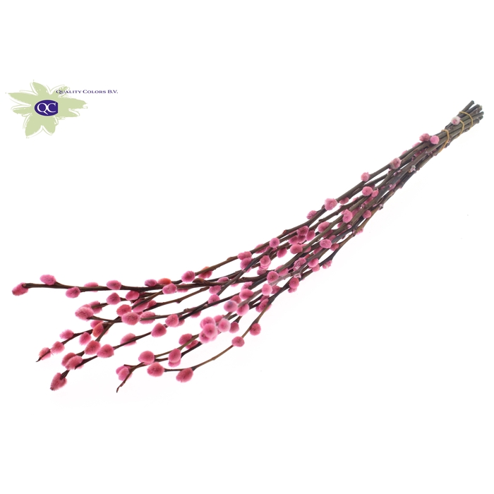 <h4>Pussy Willow 80cm Pink</h4>