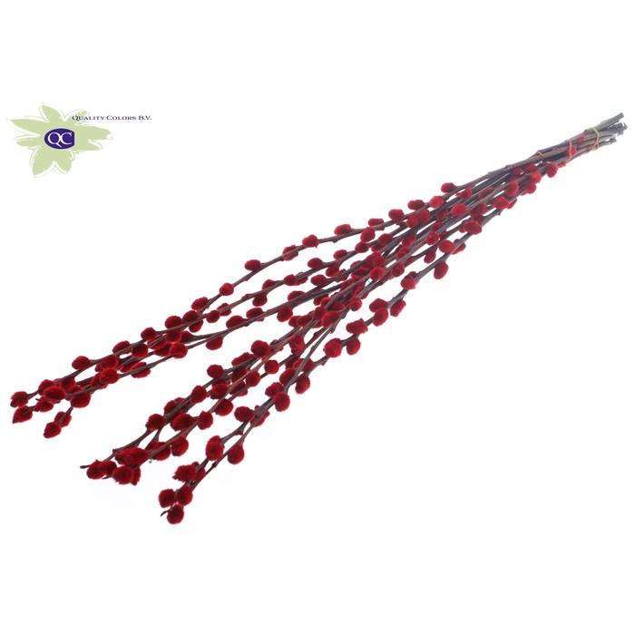 <h4>Pussy Willow 60cm Red</h4>