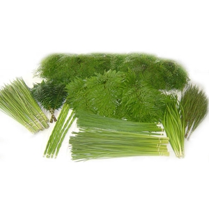 Tsitsikamma mini grass mix