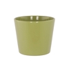 Ceramic Pot Amazon Green 15cm