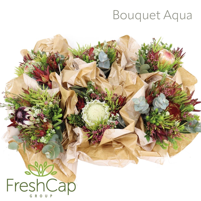<h4>Bouquet Aqua Posy</h4>