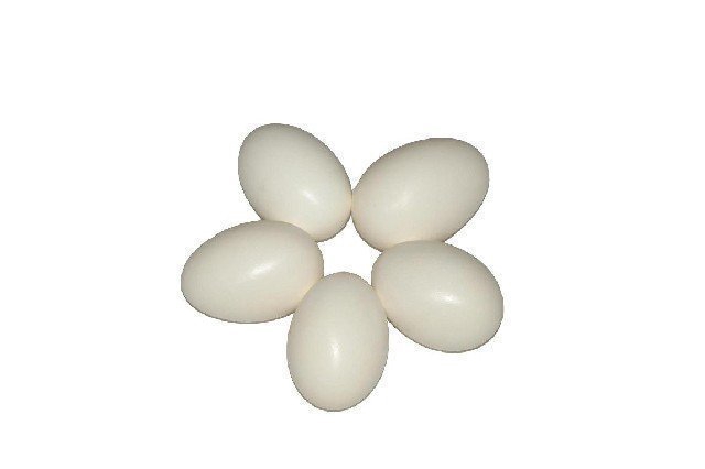 <h4>Egg goose naturel 12pcs in tray</h4>
