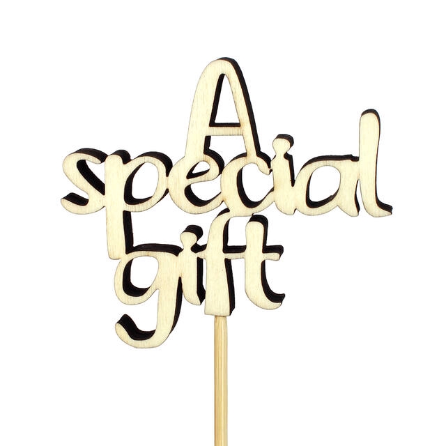 <h4>Bijsteker A Special Gift hout 8,5x7,5+50cm stok</h4>