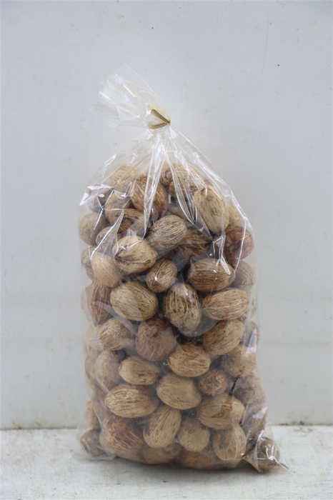 <h4>Deco Amra Nut 500gr Bag (±120pcs)</h4>