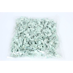 Cotton pods 250gr in poly mint pearl
