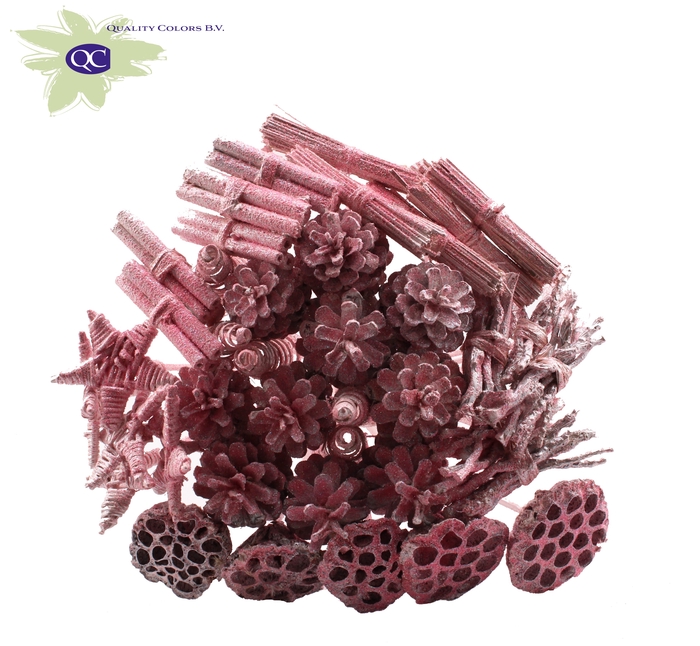 Bouquet Mix 40 stems Metallic Pink + Glitter