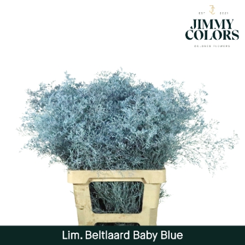 <h4>Lim Bel L70 Baby blue</h4>