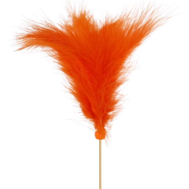 <h4>Pick Feathers 10cm+10cm stick orange</h4>