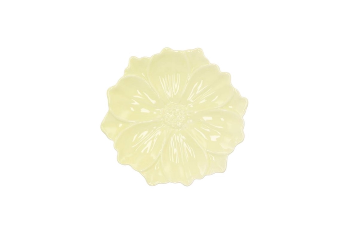 Bloom Cosmea Plate Yellow 11x11x3cm