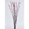 Pussy Willow 60cm Pink