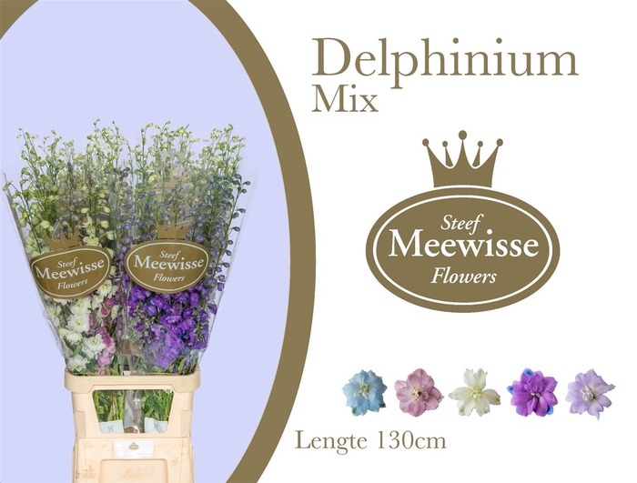 <h4>Delphinium do mix in bucket</h4>