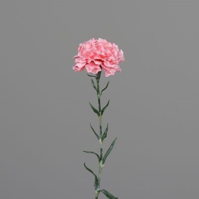 <h4>Carnation 68cm pink</h4>