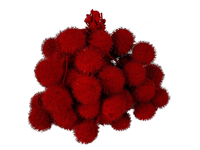 <h4>Small ball per bunch in poly red + glitter</h4>