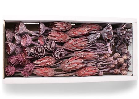 <h4>Exotic Assorti Brombeer Frosted</h4>