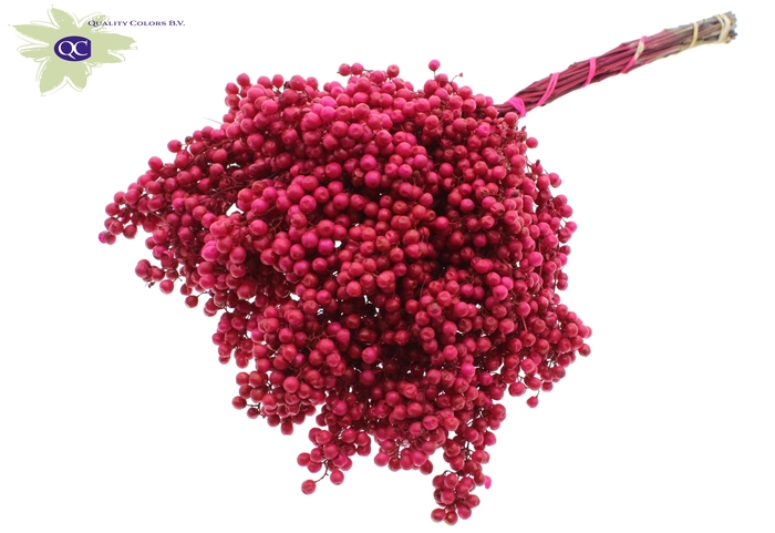 Pepperberries per bunch in poly cerise