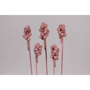 Acorn bunch on stem pink