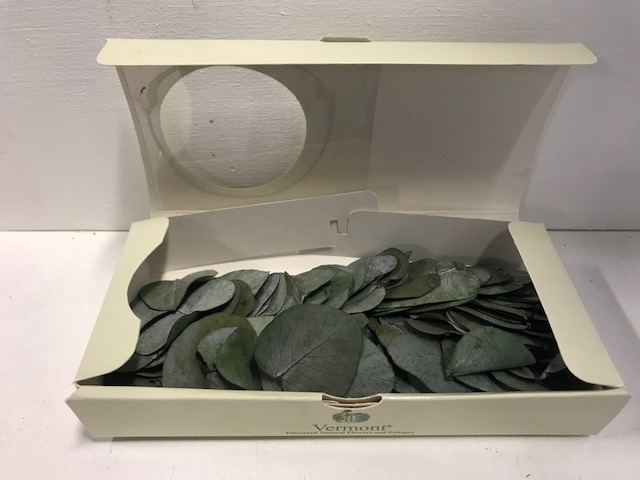 Eucalyptus leaves 150pc groen