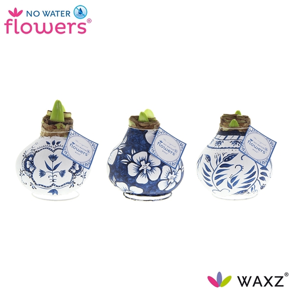 No Water Flowers Waxz® Delfts Blauw Mix