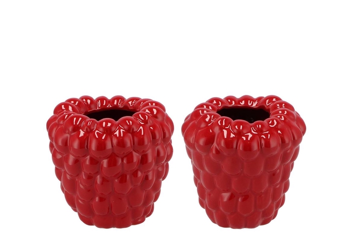 <h4>Raspberry Vase Red 16x16cm</h4>