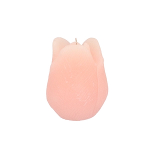 Candle Tulip White Pink 9x11cm