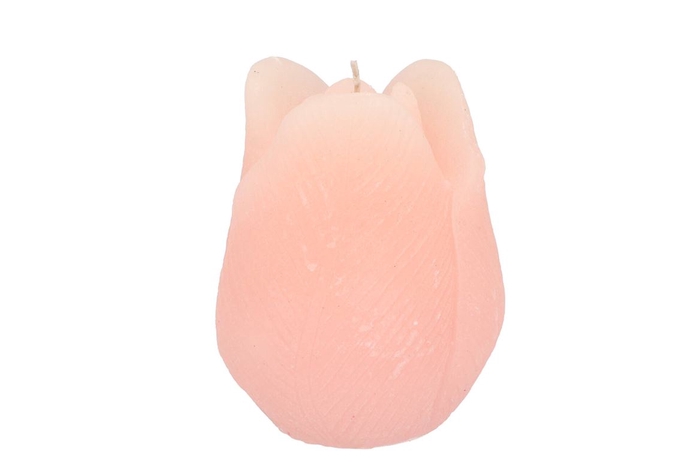 <h4>Candle Tulip White Pink 9x11cm</h4>
