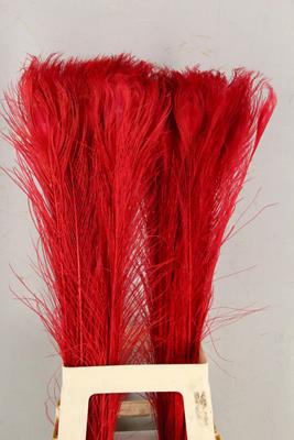 Feather Peacock Red 80cm