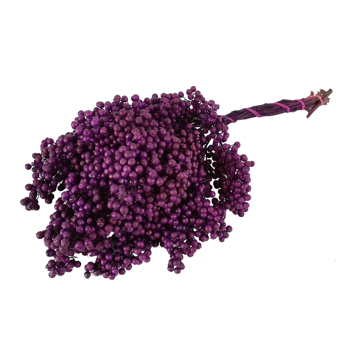 <h4>Pepperberries per bunch in poly Purple</h4>
