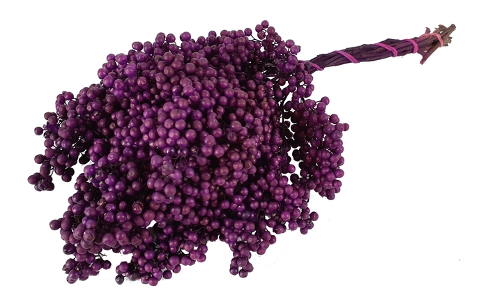 Pepperberries per bunch in poly Purple