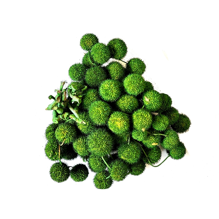 <h4>Small ball per bunch in poly Moss Green</h4>