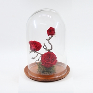 Stolp bruin 24h rode rozen glas