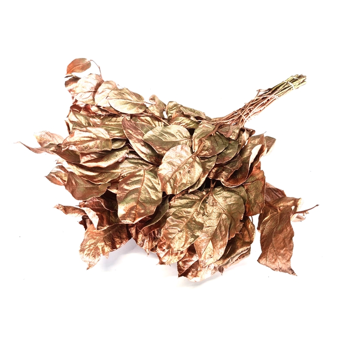 <h4>Salal tips mini dried per bunch Copper</h4>