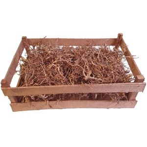 Bonsai branches in box Copper