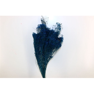 Dried Broom Bloom Blue Bunch Poly