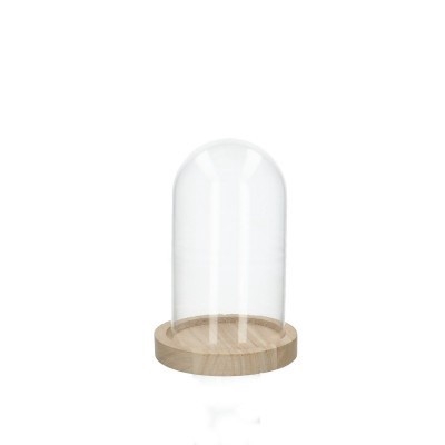 Glas Stolp+hout d08*14cm