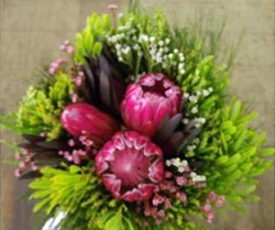Protea 3 Flower Bouquet