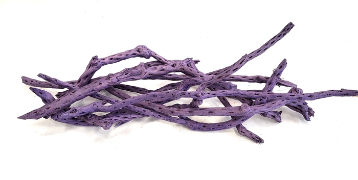 Sola siva stick 40cm 10 pc in poly purple
