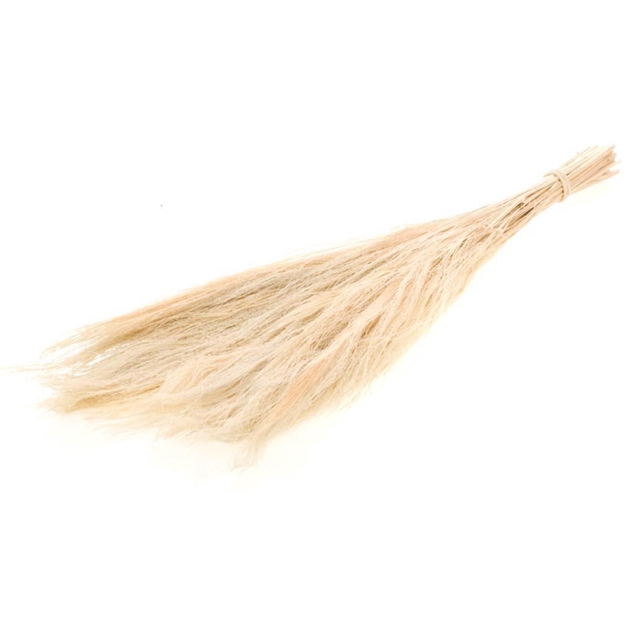 <h4>Broom grass 100gr 65cm SB bleached white</h4>